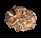 Gold Nugget